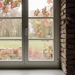 Im Kranich * Hessenburg