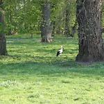 شقة Im Kranich Hessenburg
