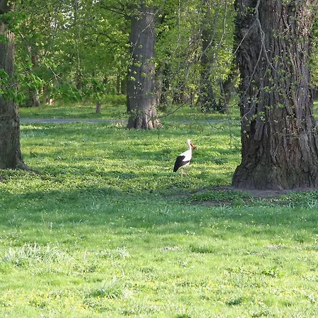 Apartman Im Kranich Hessenburg