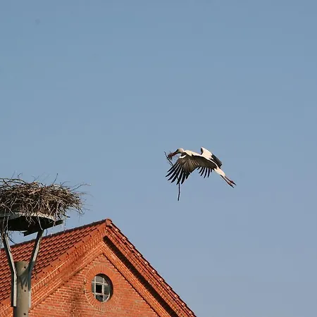 Apartman Im Kranich *